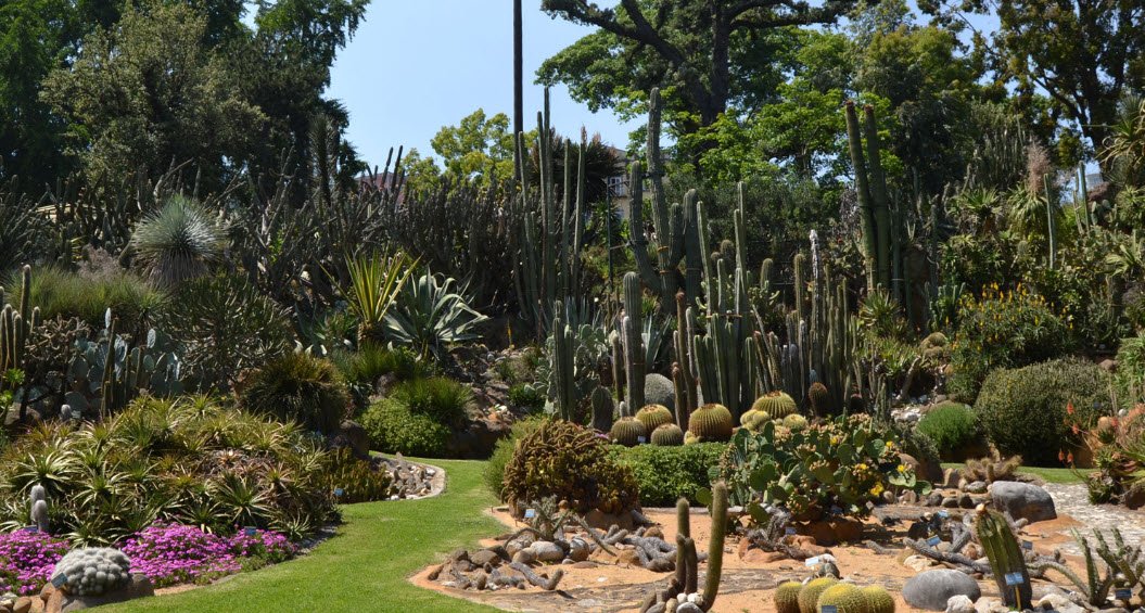 Orto Botanico di Napoli, Naples, Italy, Italy